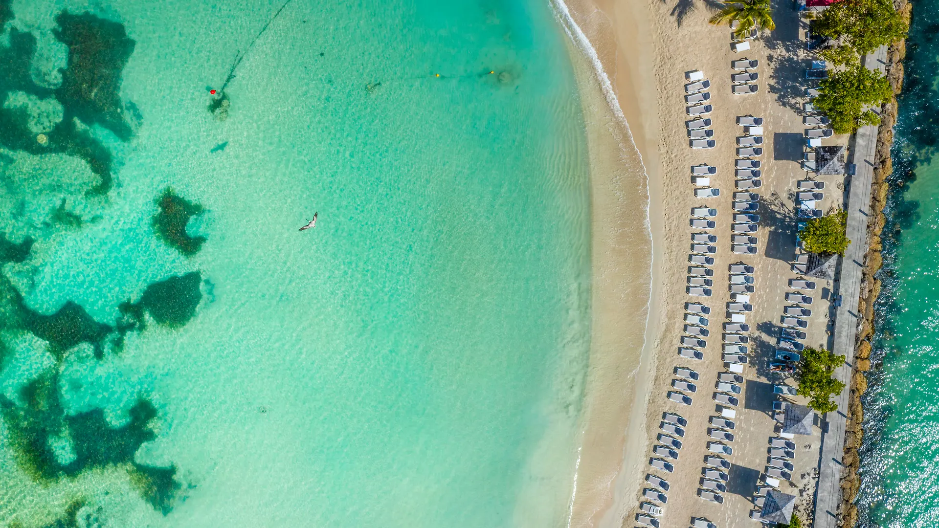 La Creole Beach Hotel & Spa Le Gosier